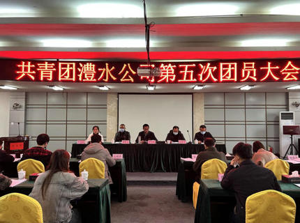 南宫NG28公司第五次团员大会召开